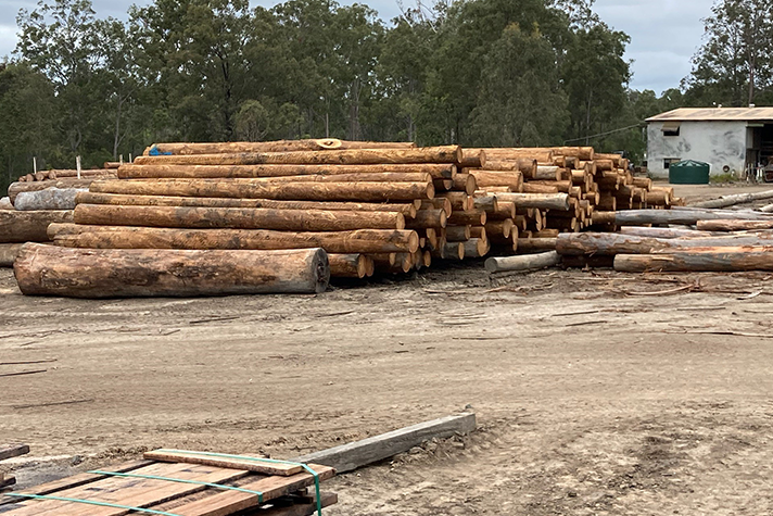 timber yard