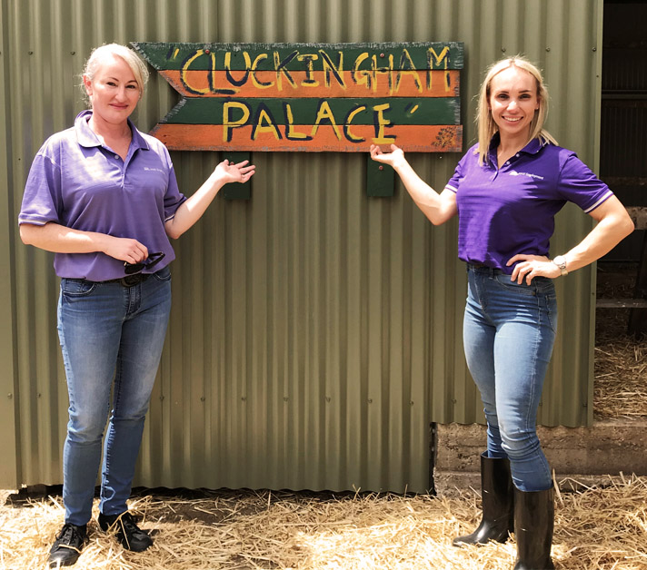 MAX boost helps open the doors on ‘Cluckingham Palace’