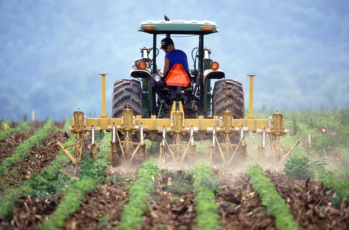 Farmer farming