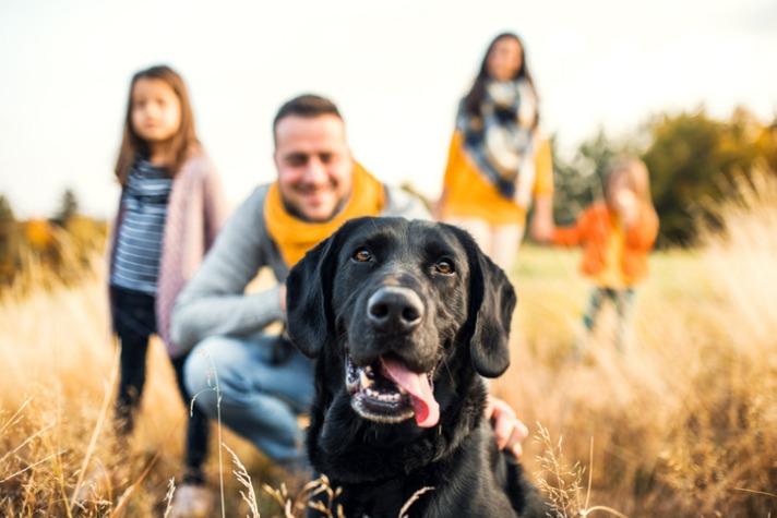 do pets impact your health